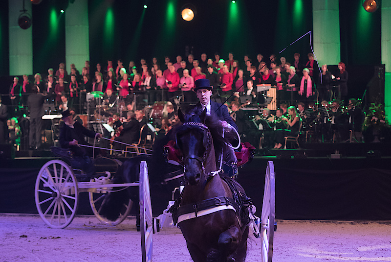 Friesian Proms  10 en 11 januari 2019